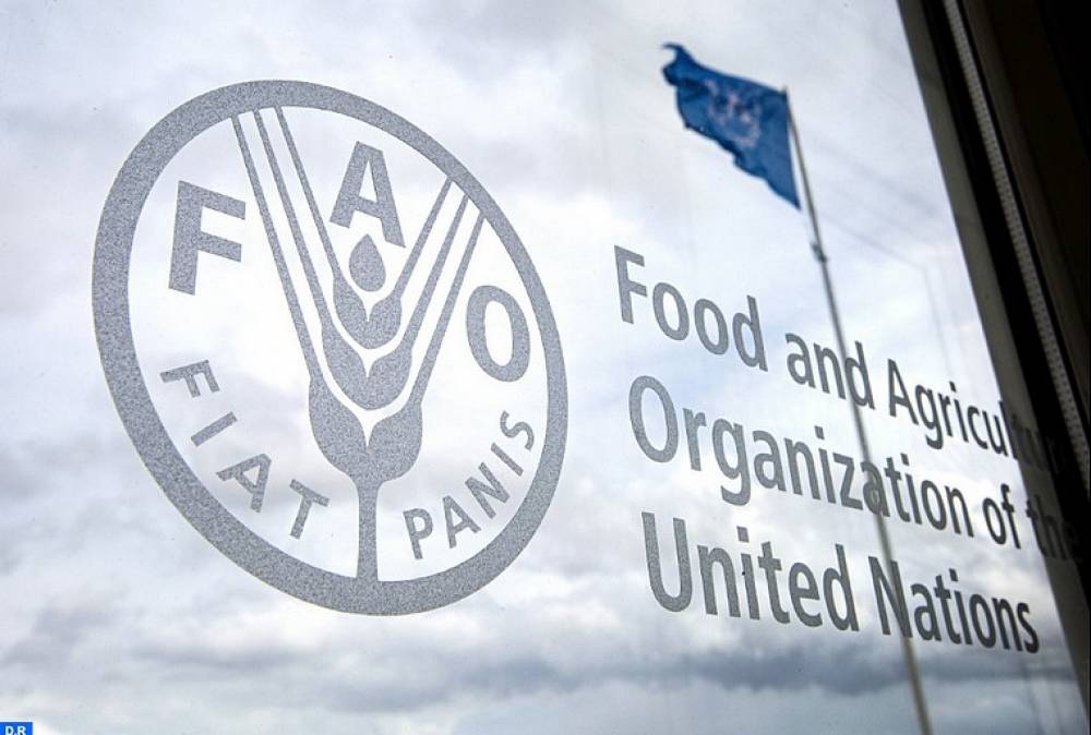 La FAO déplore la dégradation des ressources en terres et en eau