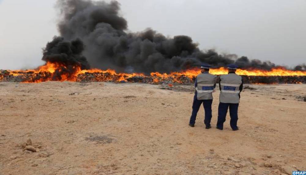 Plus de 3 tonnes de chira incinérées à Dakhla