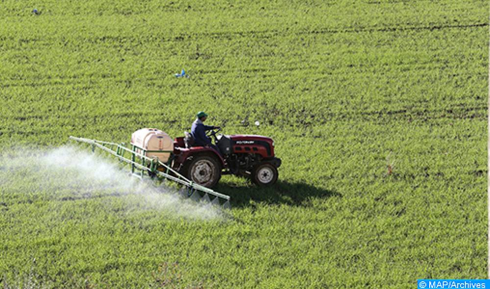 Campagne agricole 2021/2022 : plus de 70.000 ha emblavés à Sefrou