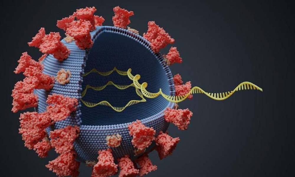 Détection des cas Omicron : Les analyses de séquençage peuvent coûter entre 1500 et 2500 DH