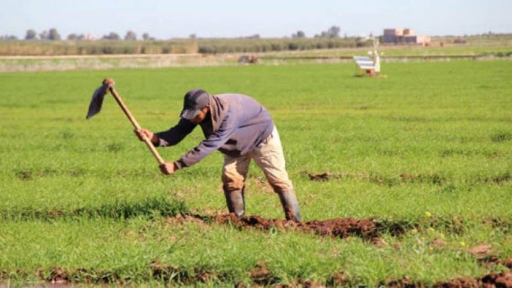 Inclusion financière : 86% des agriculteurs peinent à accéder aux services numériques