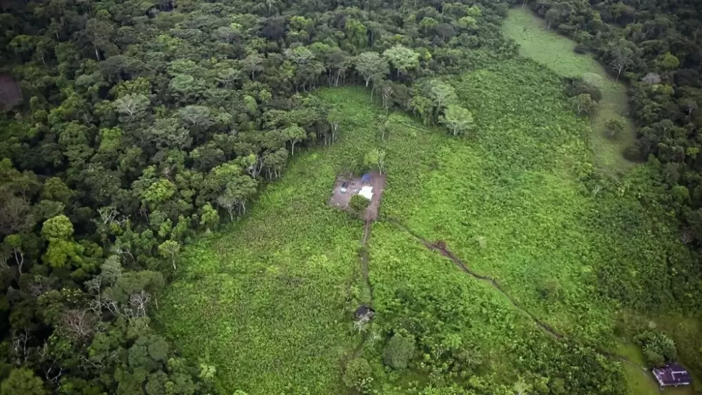 Déforestation: l'UE signe un accord inédit pour verdir ses importations