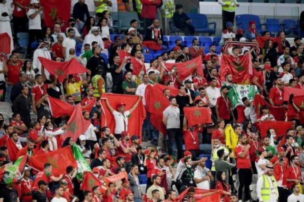 Mondial 2022 : 16 avions ont transporté des supporters à Doha pour soutenir les Lions