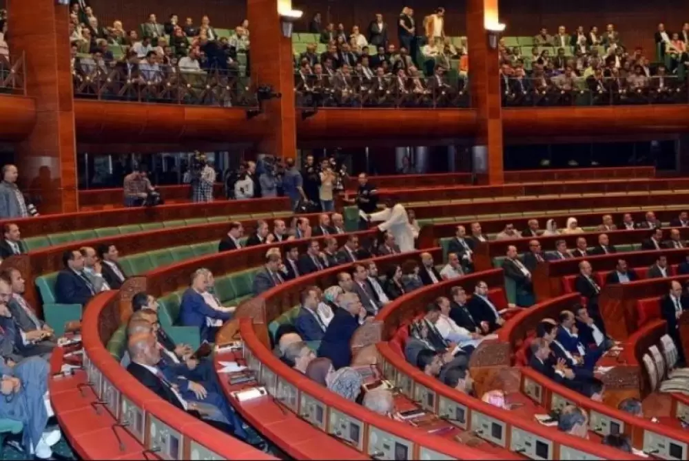 La Chambre des Conseillers approuve à l’unanimité le projet de loi sur les armes à feu