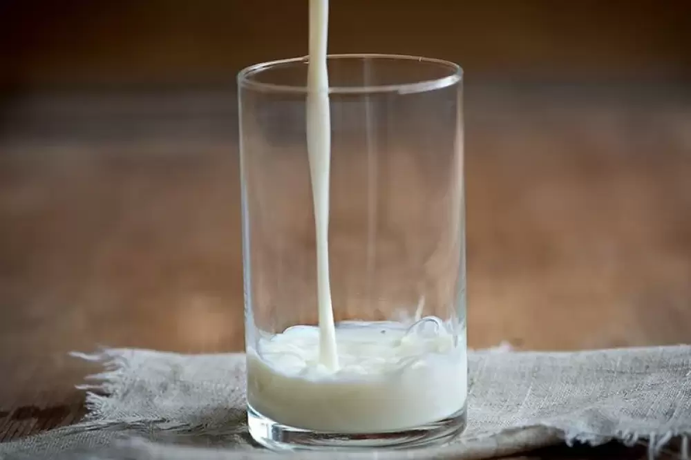 Filière laitière : Hausse du prix du 1/2 litre de lait de 50 centimes