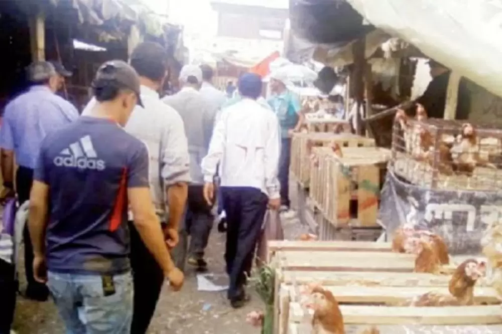 Transfert du marché de gros de volaille de Casablanca : N'ayant pas pu le faire, la commune active des mesures sanitaires