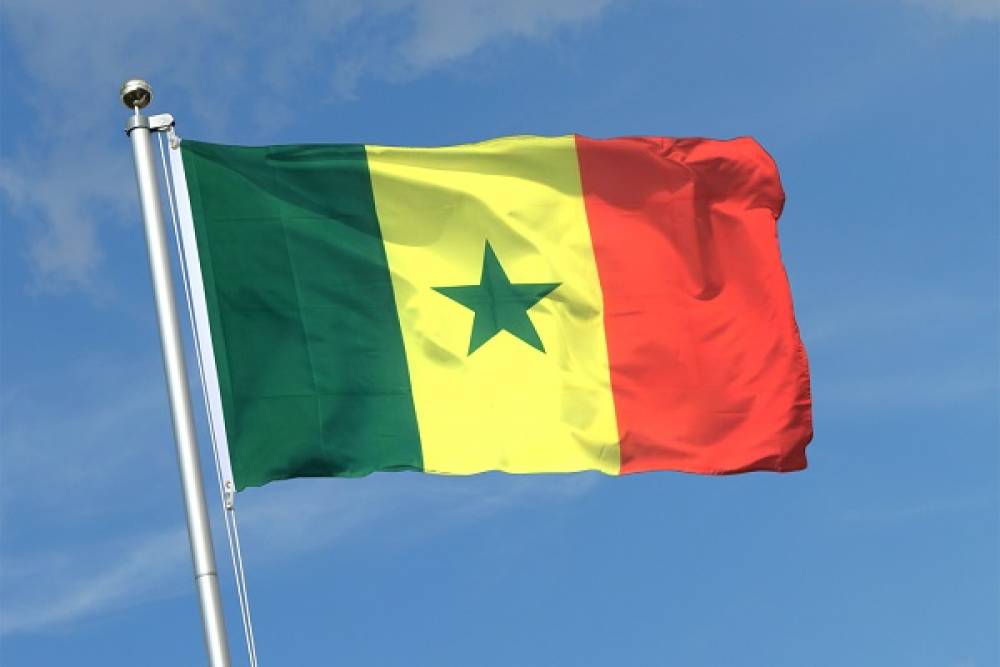 Présidentielle 2024 au Sénégal : Plus de 90 dossiers de candidature déposés