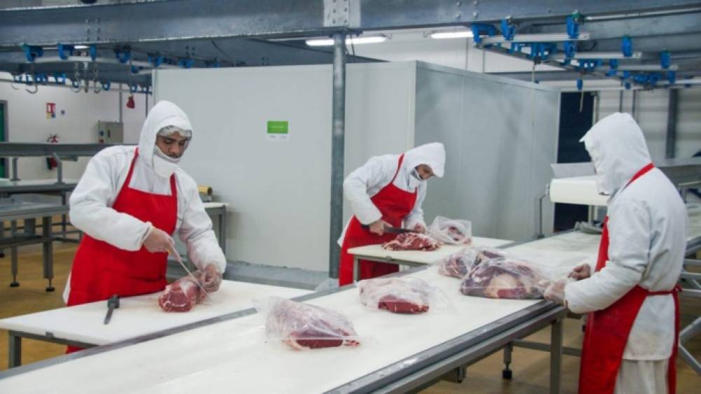 Abattoirs de Casablanca : Mise en place d’une nouvelle salle dédiée à la vente des tripes