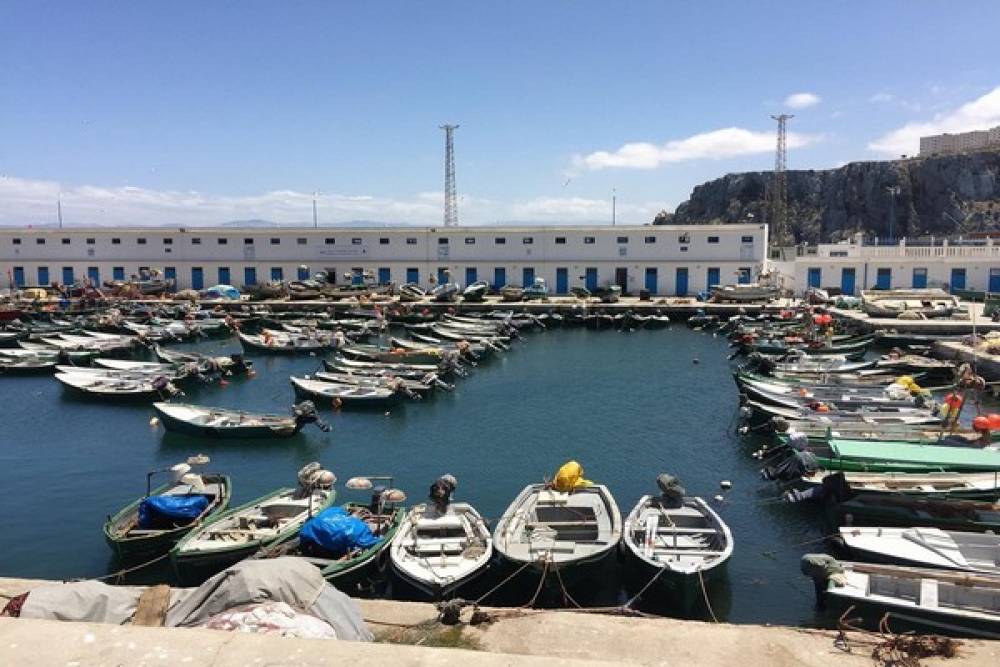 Ports situés sur la Méditerranée : Les débarquements de pêche en repli
