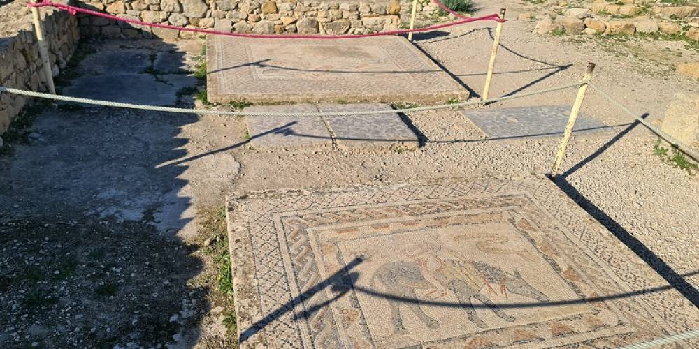 Le projet de préservation des mosaïques de Volubilis finalisé