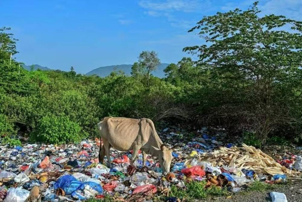 Plus de 90% des Marocains pour une gestion efficace des déchets plastiques