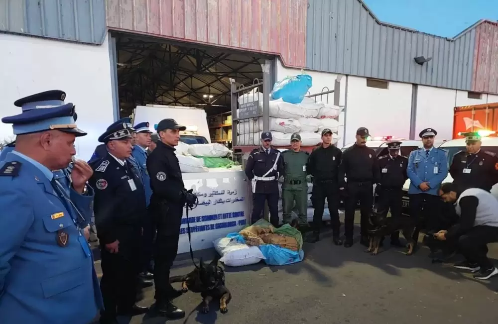 Saisie de 3,619 tonnes de Chira au port de Casablanca