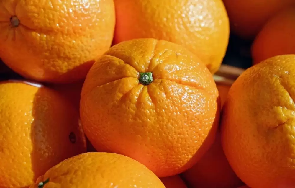 Le Maroc vise un nouveau record d'exportations d'orange à jus