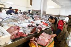 Poisson congelé : Le gouvernement élabore des points de vente pour le marché de gros