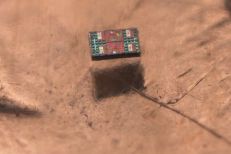 Énorme avancée : ils ont créé des microrobots invisibles à l’œil nu, autonomes et qui peuvent nager !