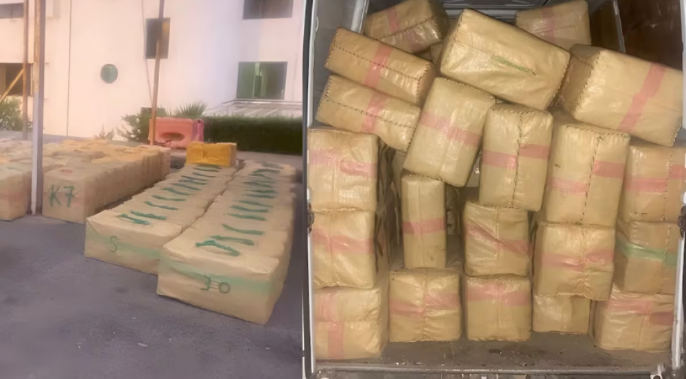 Ouarzazate: mise en échec d’une tentative de trafic de 458 kg de chira