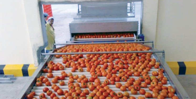 109 millions DH pour une station de conditionnement de fruits et légumes à Dakhla