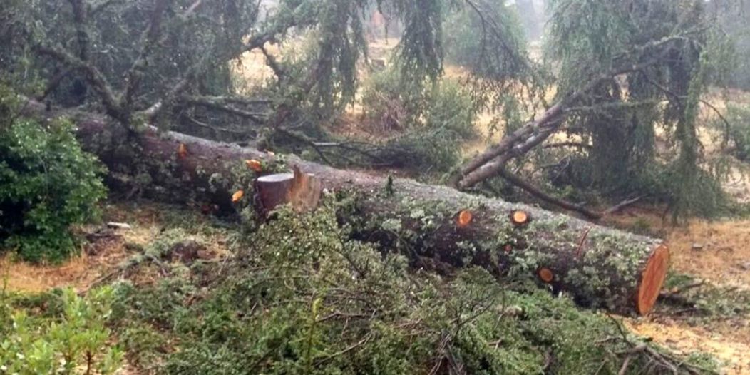 Un crime écologique sera perpétré près de Rabat