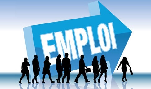 Marché du travail : Voici les principales caractéristiques de la population occupée
