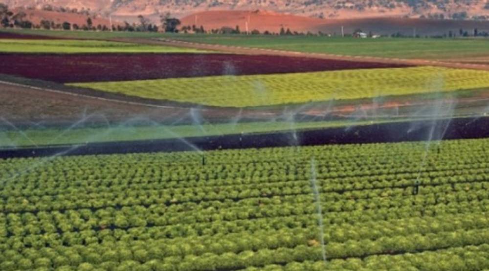 Agribusiness: Le Royaume se distingue sur le Continent