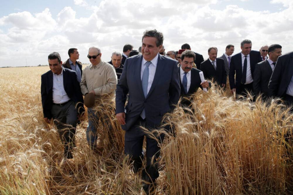 La campagne agricole quasiment sauvée !