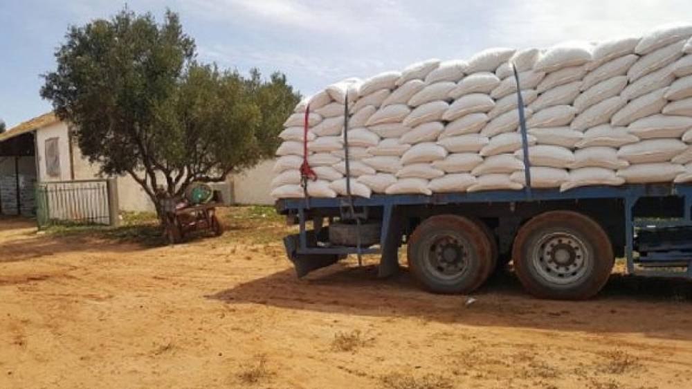 Casablanca-Settat : 255.000 quintaux d’orge pour sauver la saison agricole