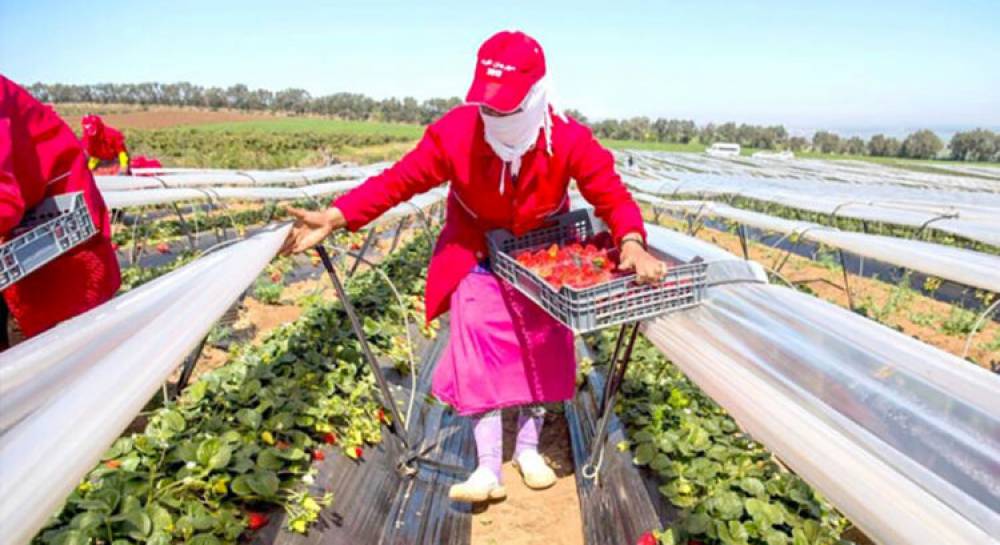 Le Maroc marque des points en fruits rouges contre l’Espagne