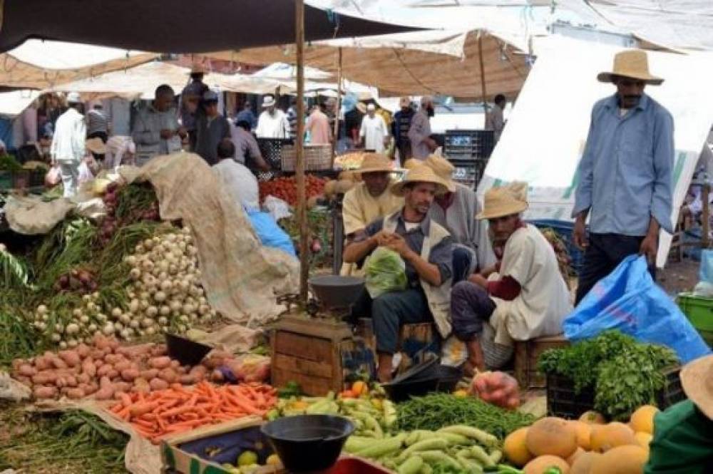 Maroc : La commercialisation continue à freiner une réelle intégration du secteur agricole