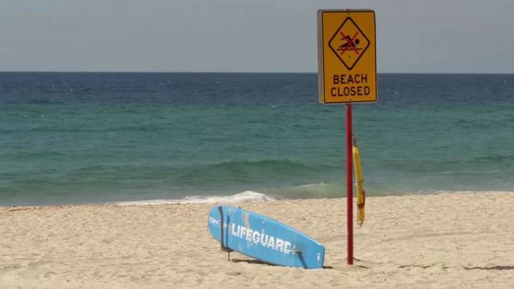 Les plages de Sydney sont fermées alors que les autorités chassent le requin qui a tué le nageur | Nouvelles du monde