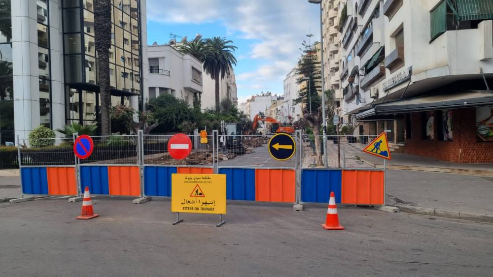 Transplantation d'arbres sur l'avenue Souktani : Les autorités de Casablanca s’expliquent