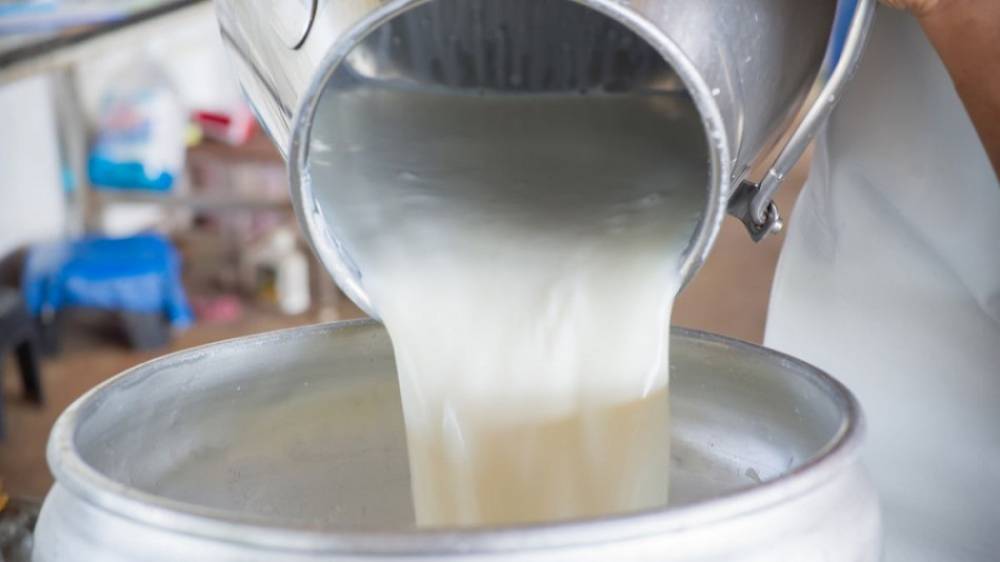 Les produits laitiers informels continuent de faire des victimes