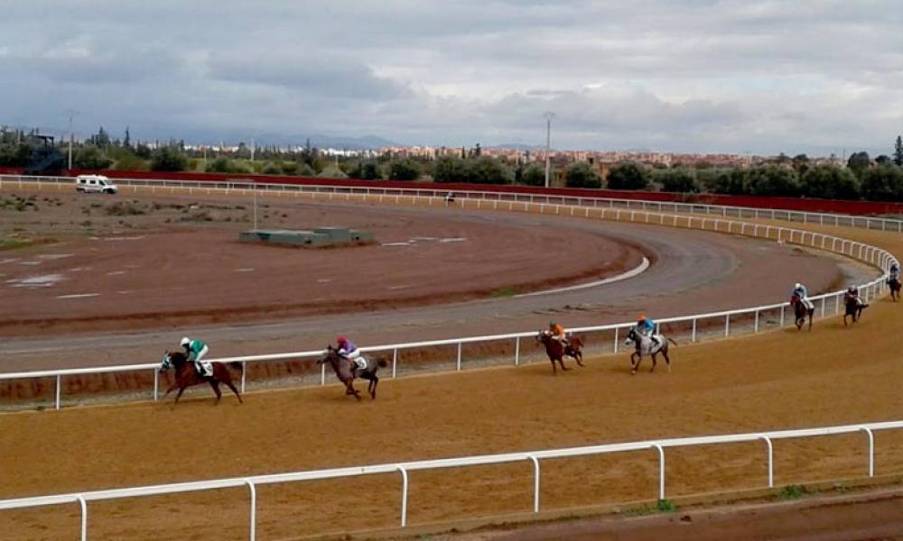 SOREC: Grand Prix d’Afrique des courses de chevaux à Marrakech du 23 au 25 février