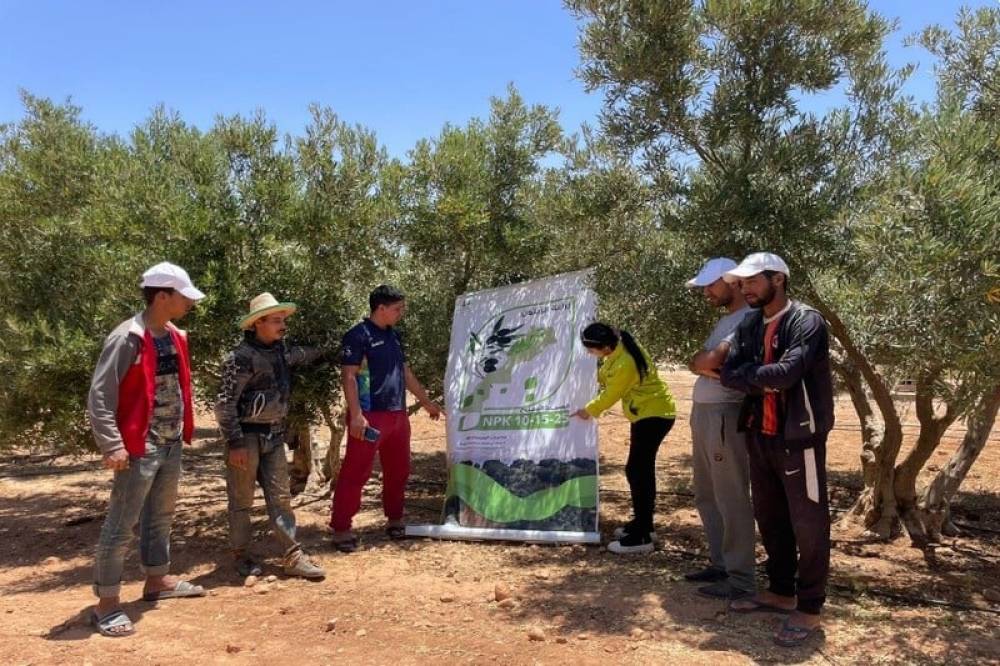 Al Moutmir: Malgré la sécheresse, le rendement moyen de l'oléiculture grimpe à 20%