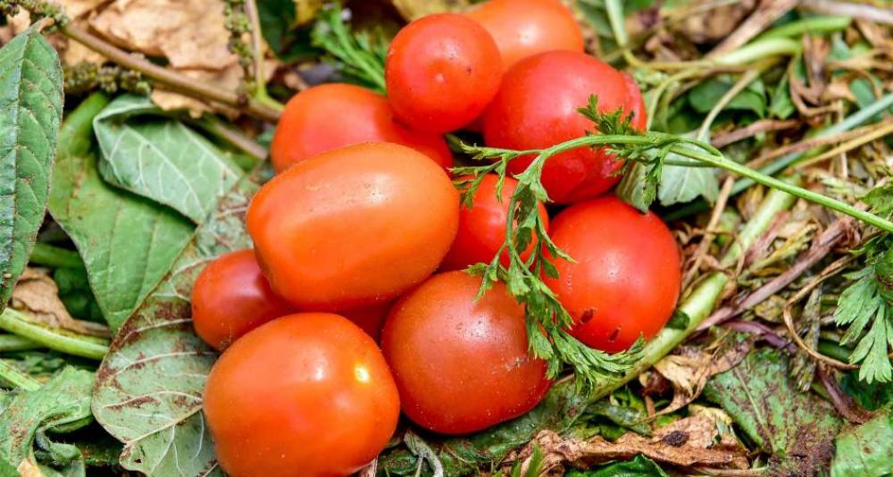 Fruits et légumes: ces spéculateurs qui mettent le feu au marché