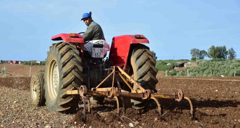 Région Casablanca-Settat: des mesures pour atténuer les effets de la sécheresse sur les agriculteurs