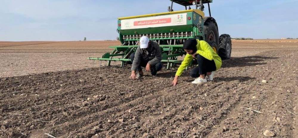 Casablanca-Settat : l’état de l’agriculture pluviale jugé à 58% « très faible »