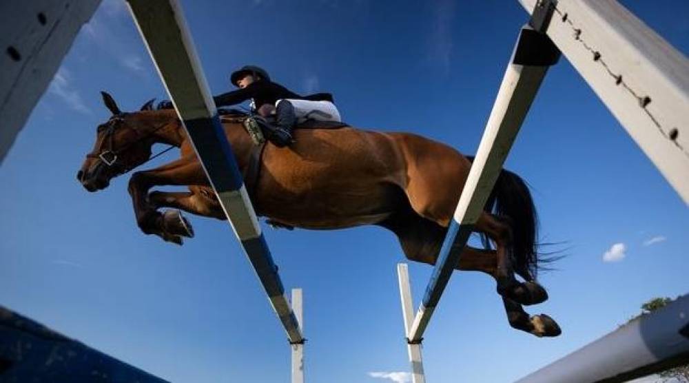 Concours national de saut d'obstacles 2 étoiles de Khénifra : Le Lieutenant-Colonel Omar Assili remporte le grand prix des FAR