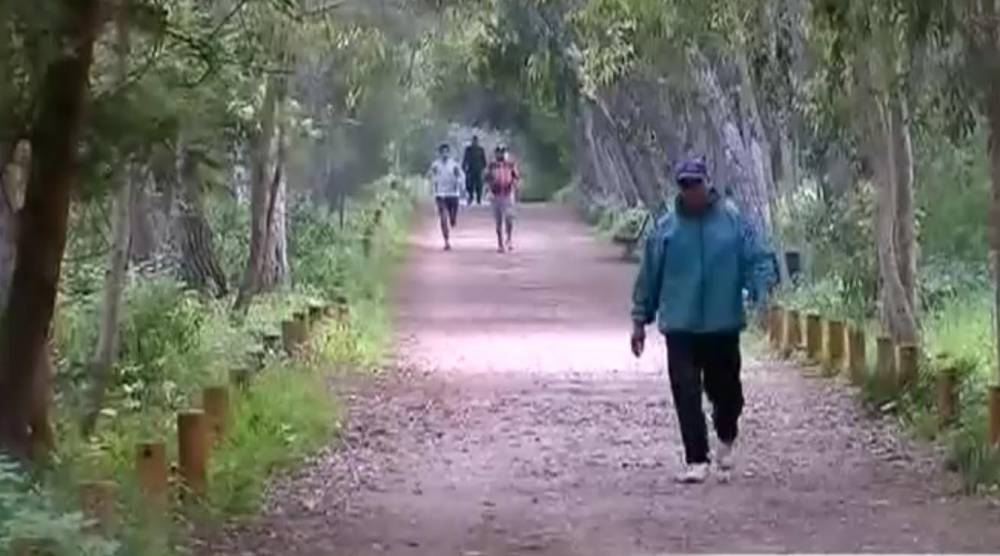 Tanger: Plus de 34 MDH alloués à l’entretien des forêts urbaines