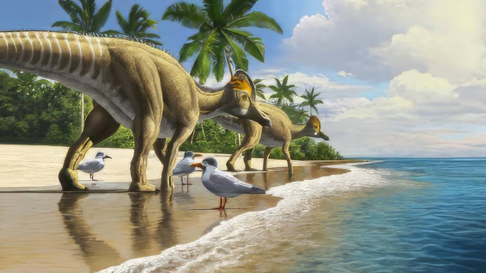 Paléontologie: une nouvelle espèce de dinosaure de petite taille identifiée au Maroc