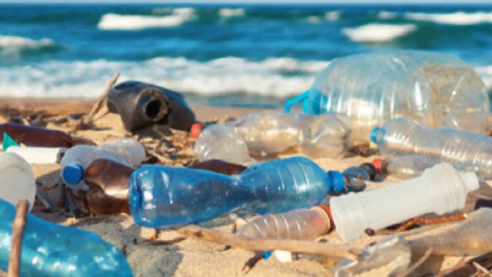 13e Conférence de l'OMC : le Maroc coparraine une déclaration en faveur de la réduction du commerce des plastiques nocifs