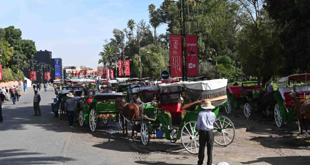 Le Maroc à la conquête du marché touristique allemand post-pandémie : stratégies et ambitions à l'horizon 2025