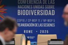 Rome : Le Maroc prend part à la COP16