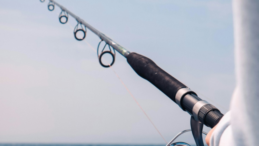 Une Fédération internationale de la pêche touristique sportive voit le jour à Dakhla