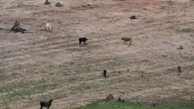 Le dérèglement climatique pourrait réduire de moit...