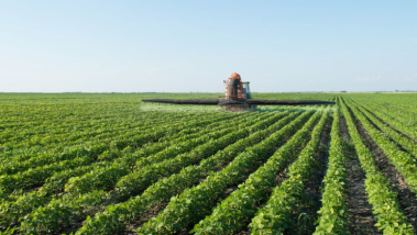 L’UE entend suspendre pour un an les droits de dou...