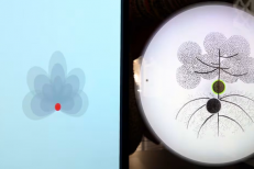 Au Musée Mohammed VI d’art moderne et contemporain Younes Rahmoun explore la métamorphose de l’existence