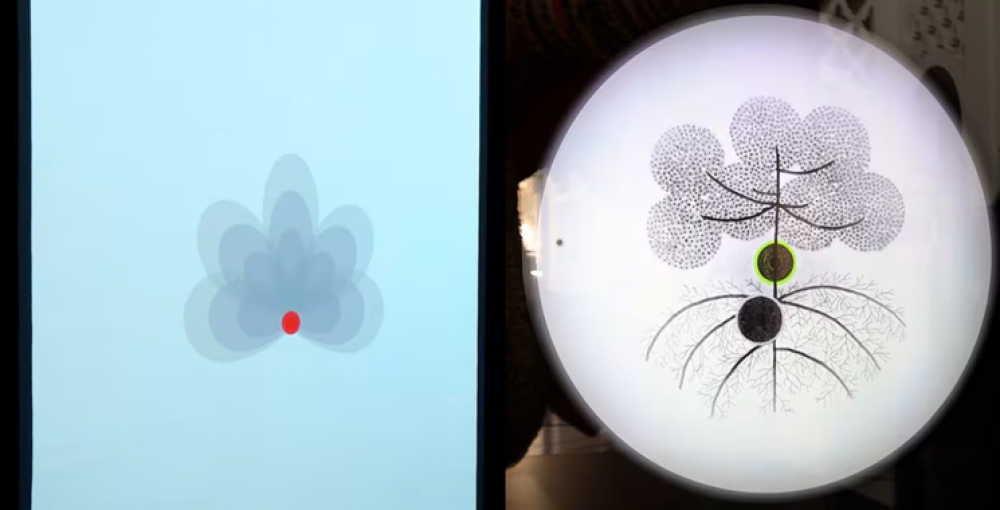 Au Musée Mohammed VI d’art moderne et contemporain Younes Rahmoun explore la métamorphose de l’existence