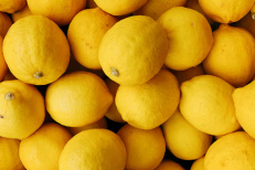 Les exportations marocaines de citron ont grimpé de 80% en un an