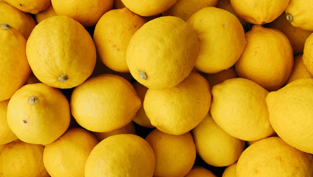 Les exportations marocaines de citron ont grimpé de 80% en un an