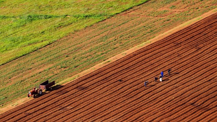 Réglementation agricole : le Maroc 3e en Afrique en matière de réformes